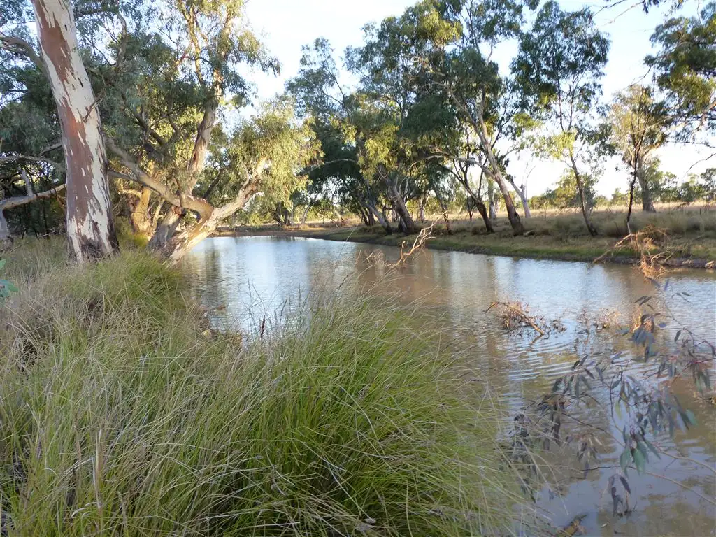 Main view of Homely rural property listing, . "The Bluff", Roma QLD 4455