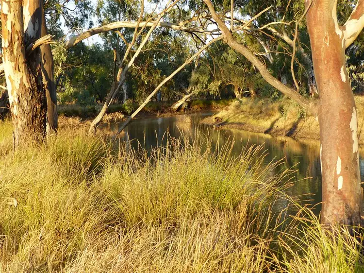 Second view of Homely rural property listing, . "The Bluff", Roma QLD 4455