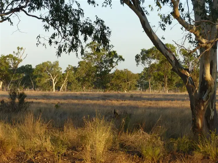 Third view of Homely rural property listing, . "The Bluff", Roma QLD 4455