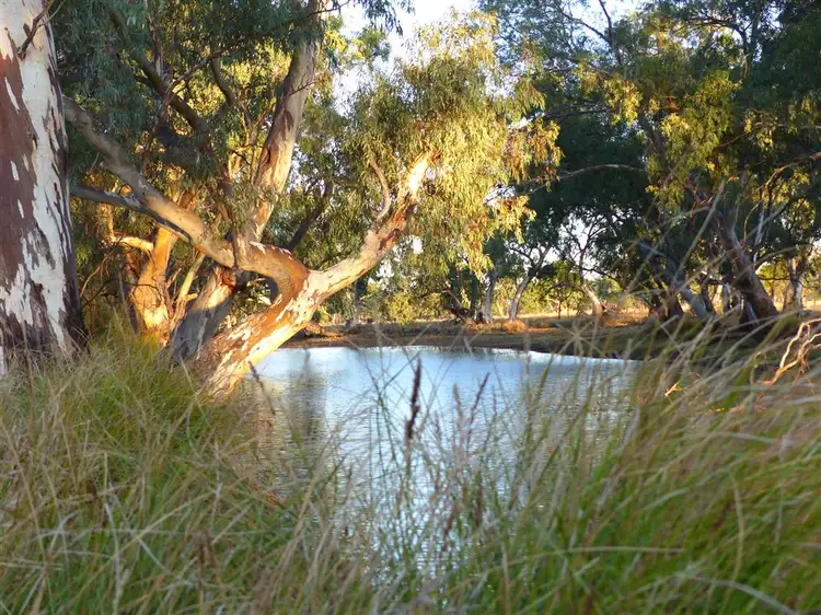 Fourth view of Homely rural property listing, . "The Bluff", Roma QLD 4455