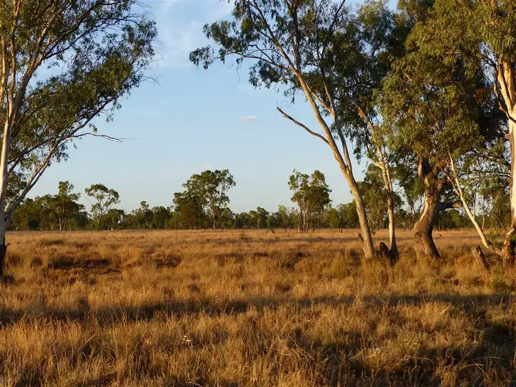Fifth view of Homely rural property listing, . "The Bluff", Roma QLD 4455