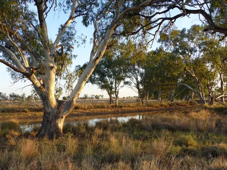 Sixth view of Homely rural property listing, . "The Bluff", Roma QLD 4455