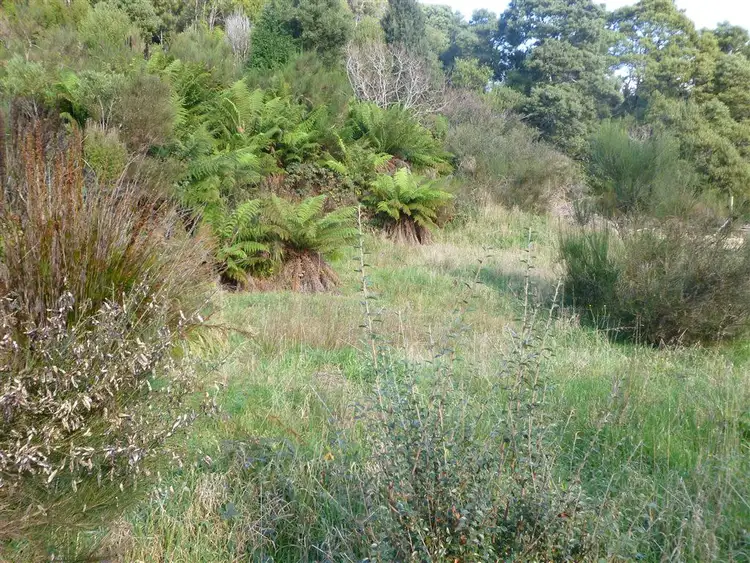 Fifth view of Homely land listing, 20 Alfred St, Queenstown TAS 7467