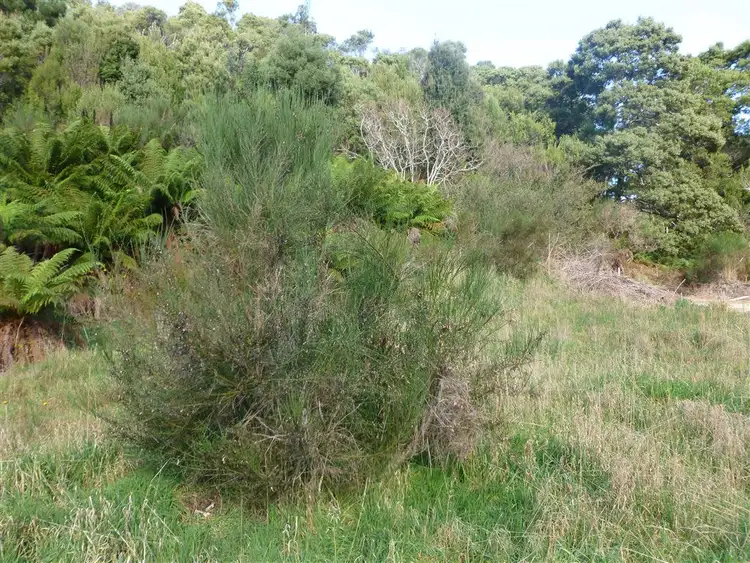 Sixth view of Homely land listing, 20 Alfred St, Queenstown TAS 7467