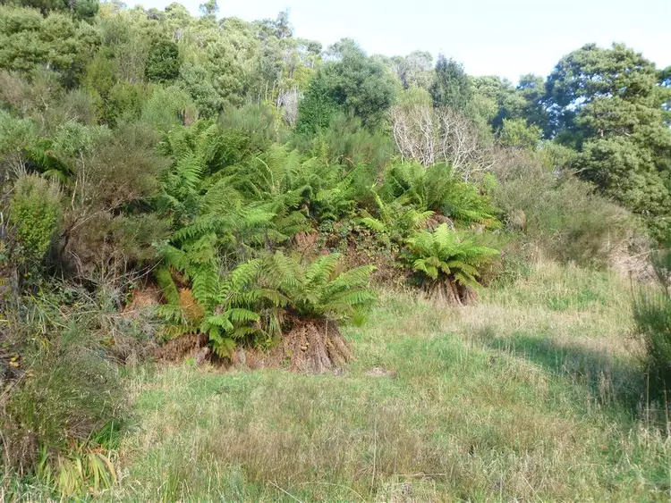 Seventh view of Homely land listing, 20 Alfred St, Queenstown TAS 7467