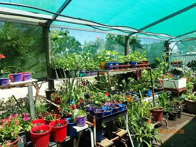 Sixth view of Homely house listing, 18209 Great Northern Highway, Miling WA 6575