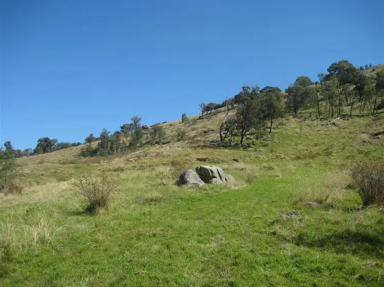 Third view of Homely rural property listing, 595 Harrys Creek Road, Violet Town VIC 3669