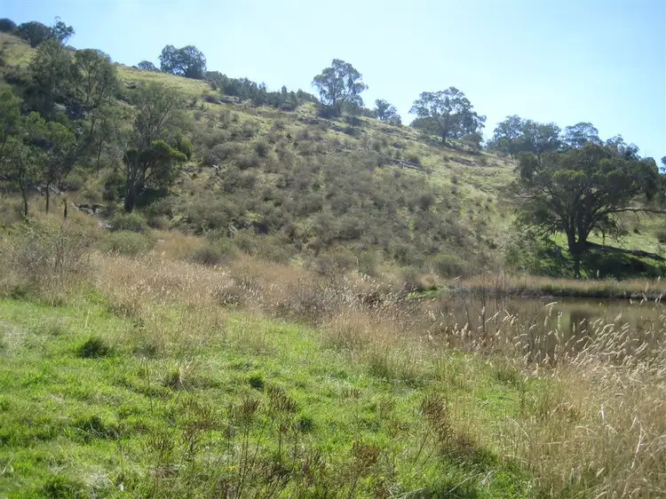 Fourth view of Homely rural property listing, 595 Harrys Creek Road, Violet Town VIC 3669