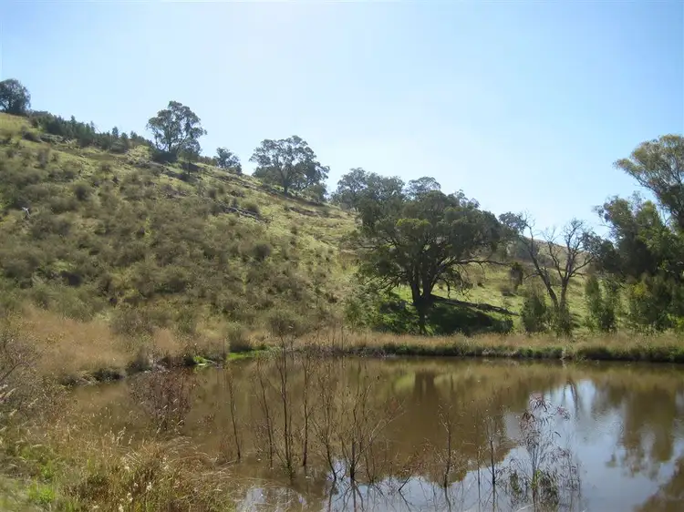Fifth view of Homely rural property listing, 595 Harrys Creek Road, Violet Town VIC 3669