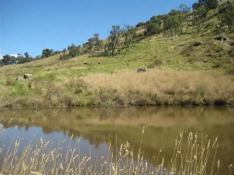Sixth view of Homely rural property listing, 595 Harrys Creek Road, Violet Town VIC 3669