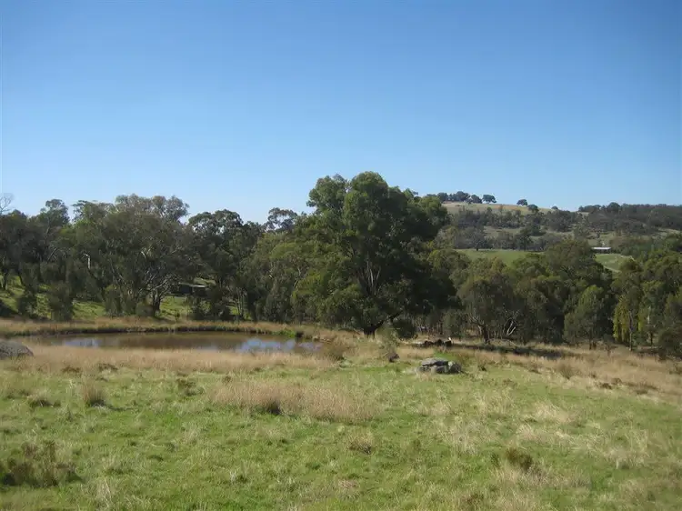 Seventh view of Homely rural property listing, 595 Harrys Creek Road, Violet Town VIC 3669