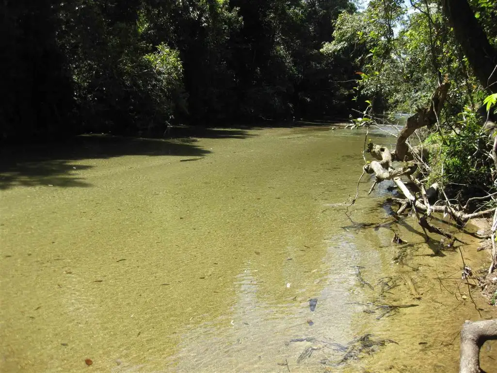 Main view of Homely rural property listing, 0 Old Tully Road, Birkalla QLD 4854
