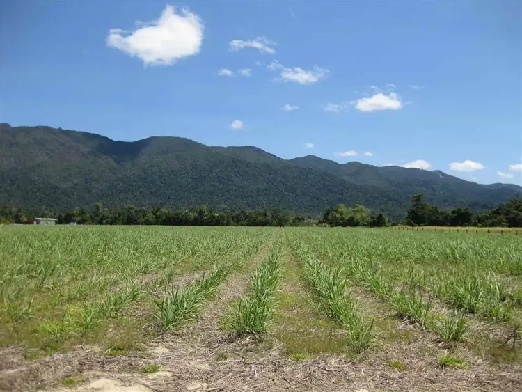 Second view of Homely rural property listing, 0 Old Tully Road, Birkalla QLD 4854
