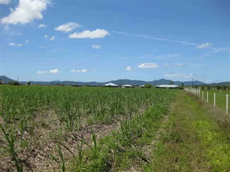 Sixth view of Homely rural property listing, 0 Old Tully Road, Birkalla QLD 4854