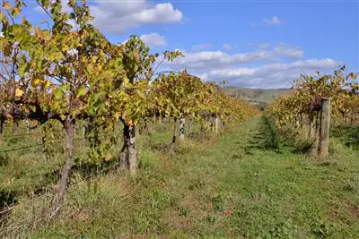 Fifth view of Homely house listing, 414 Colville Road, Willunga SA 5172