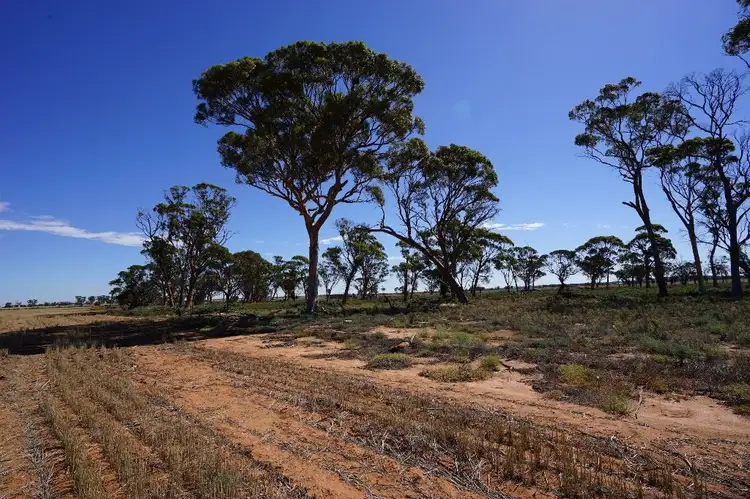 Sixth view of Homely rural property listing, Address available on request