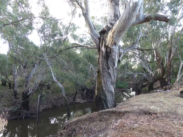 Second view of Homely rural property listing, Deep Bend, Mahonga Road, Rand NSW 2642