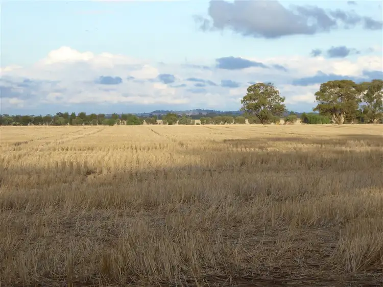 Third view of Homely rural property listing, Deep Bend, Mahonga Road, Rand NSW 2642