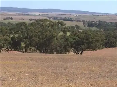 Seventh view of Homely rural property listing, Section174 Black Swamp Road, Murray Town SA 5481