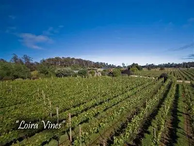 3191 West Tamar Highway, Sidmouth TAS 7270