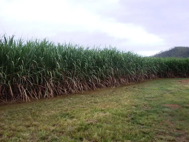Main view of Homely rural property listing, 68 Head-Vassallos Road, Septimus QLD 4754