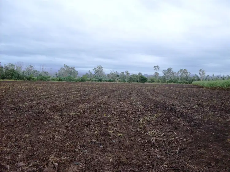 Second view of Homely rural property listing, 68 Head-Vassallos Road, Septimus QLD 4754