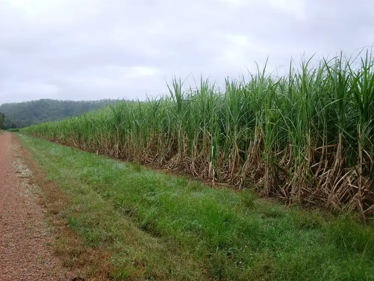 Third view of Homely rural property listing, 68 Head-Vassallos Road, Septimus QLD 4754