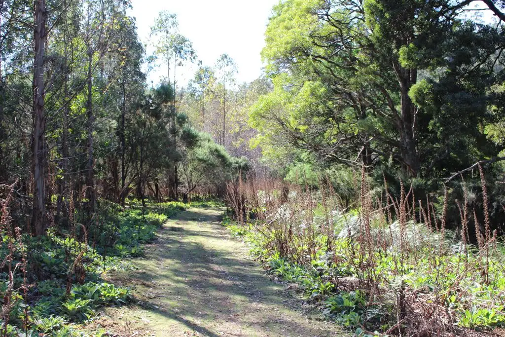 Main view of Homely rural property listing, . Nook Road, Nabowla TAS 7260