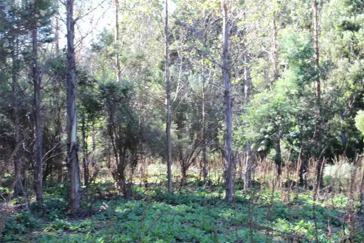 Third view of Homely rural property listing, . Nook Road, Nabowla TAS 7260