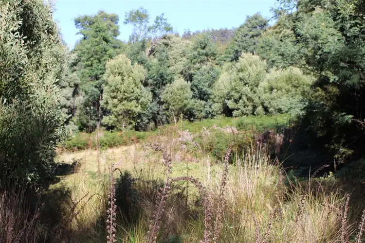 Fourth view of Homely rural property listing, . Nook Road, Nabowla TAS 7260