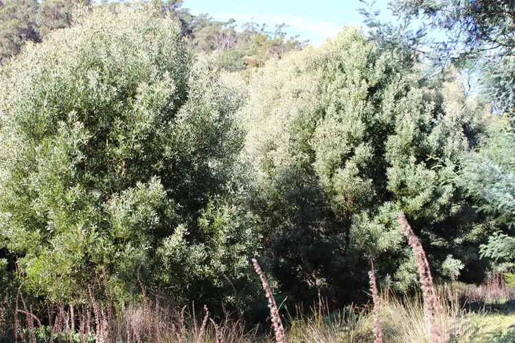 Fifth view of Homely rural property listing, . Nook Road, Nabowla TAS 7260