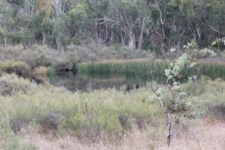 Main view of Homely rural property listing, Lot 47/1527 New England Hwy, Glen Innes NSW 2370
