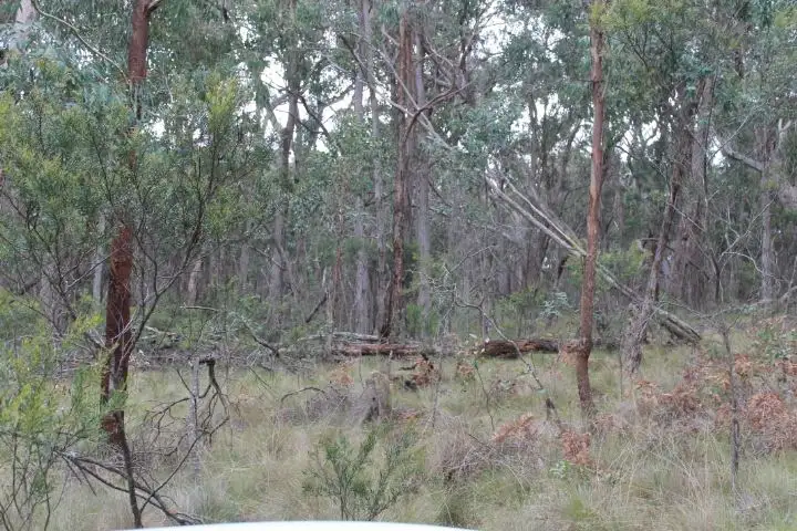 Third view of Homely rural property listing, Lot 47/1527 New England Hwy, Glen Innes NSW 2370