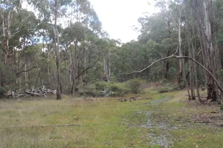 Fifth view of Homely rural property listing, Lot 47/1527 New England Hwy, Glen Innes NSW 2370
