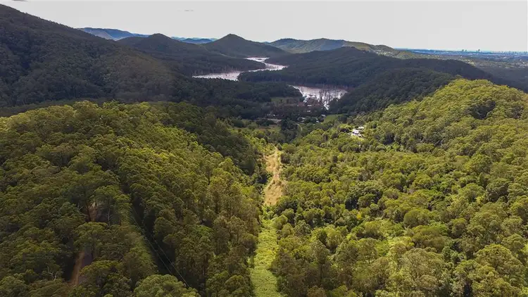 Third view of Homely land listing, 971 Gold Coast Springbrook Road, Austinville QLD 4213