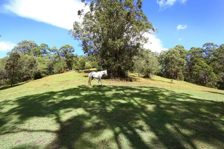 Fifth view of Homely land listing, 971 Gold Coast Springbrook Road, Austinville QLD 4213