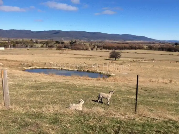 Third view of Homely land listing, 40 Gardiners Creek Road, St Marys TAS 7215