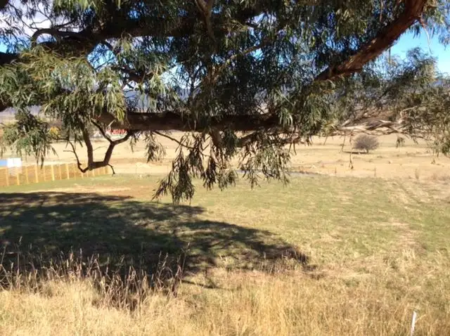 Fifth view of Homely land listing, 40 Gardiners Creek Road, St Marys TAS 7215