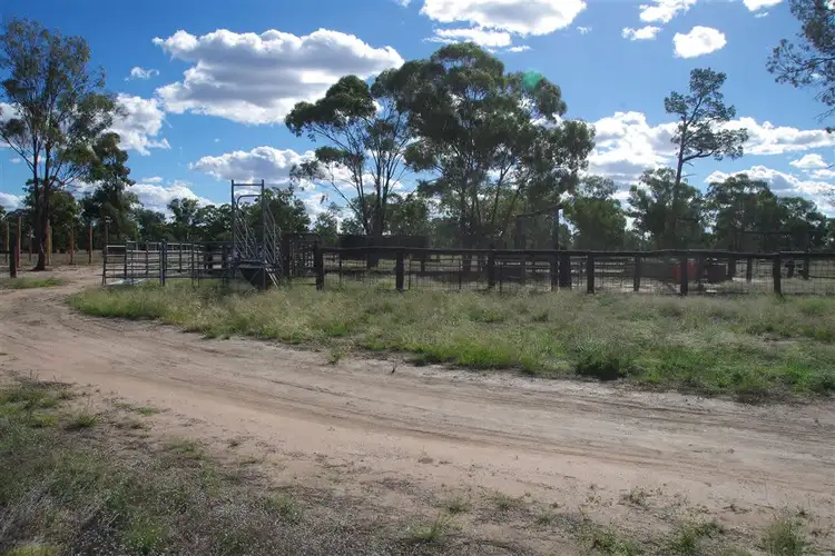 Fourth view of Homely rural property listing, 190 Werah Creek Road, Wee Waa NSW 2388