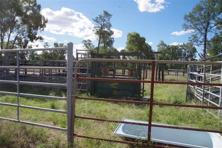 Fifth view of Homely rural property listing, 190 Werah Creek Road, Wee Waa NSW 2388