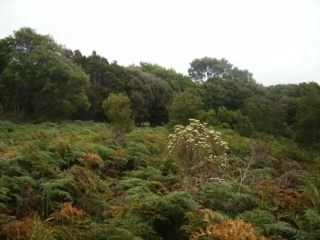 Fourth view of Homely land listing, 8 Skyline Drive, Naracoopa TAS 7256