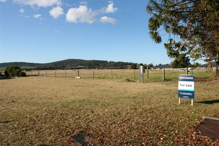 Fourth view of Homely land listing, 38 Tully Street, St Helens TAS 7216