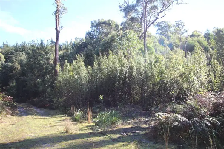 Third view of Homely rural property listing, . Barnbougle Road (North Scottsdale), Scottsdale TAS 7260
