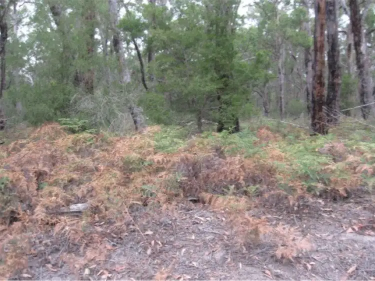 Third view of Homely rural property listing, Lot 2 Whitelaws Track, Devon North VIC 3971