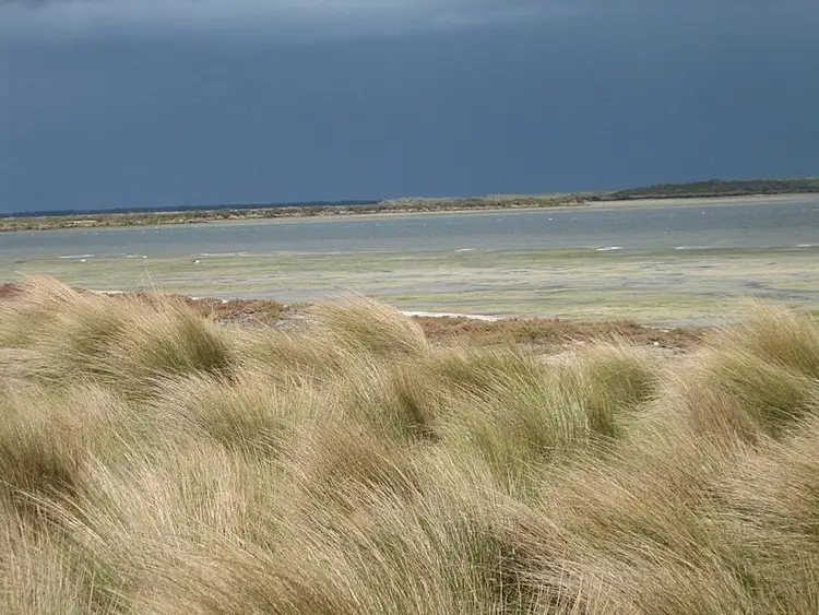 Second view of Homely land listing, 0 Marshalls Road, Robertsons Beach VIC 3971