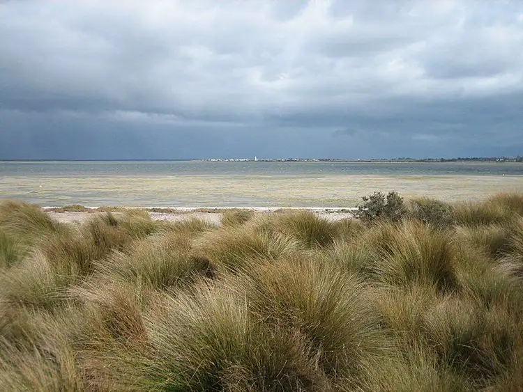Third view of Homely land listing, 0 Marshalls Road, Robertsons Beach VIC 3971