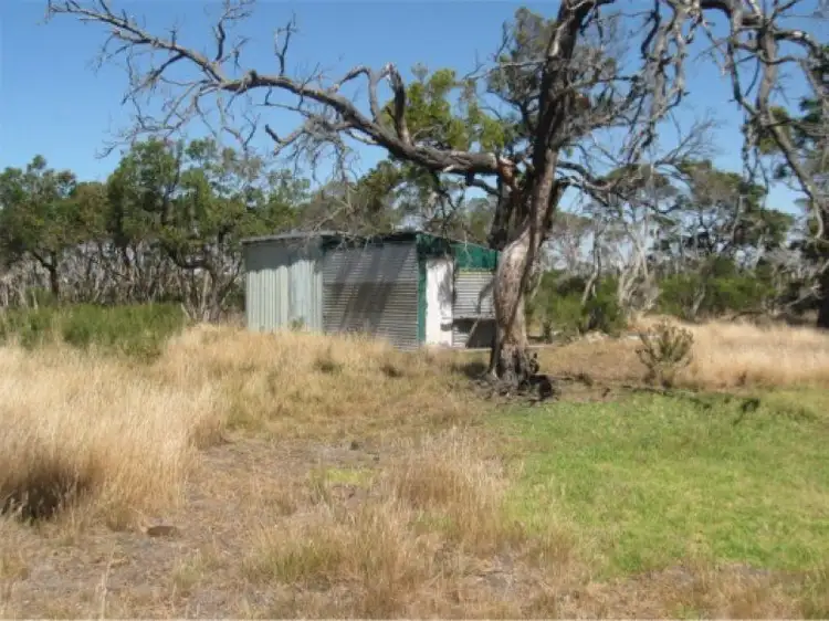 Fourth view of Homely rural property listing, 31 McLoughlins Beach Road, Mcloughlins Beach VIC 3874