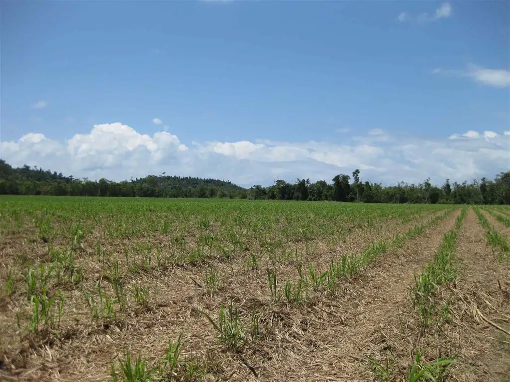 Main view of Homely rural property listing, 0 Murdering Point Road, Kurrimine Beach QLD 4871