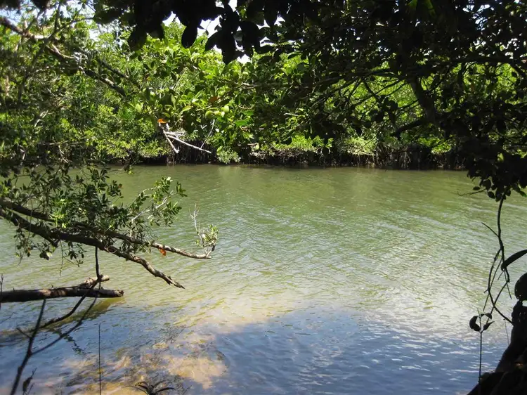 Fifth view of Homely rural property listing, 0 Murdering Point Road, Kurrimine Beach QLD 4871