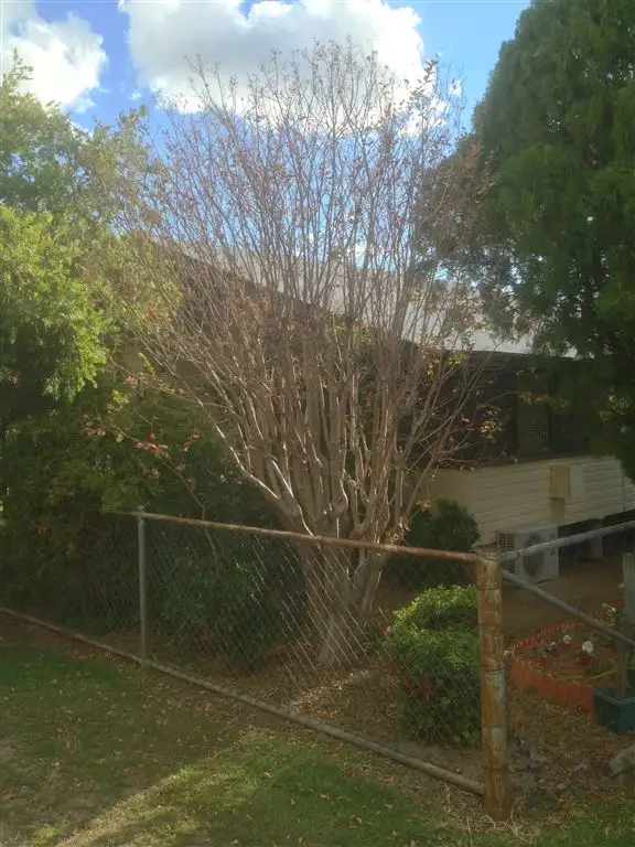 Main view of Homely house listing, 7 Short Street, Wandoan QLD 4419